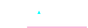 TDM Agency Digital Marketing Services