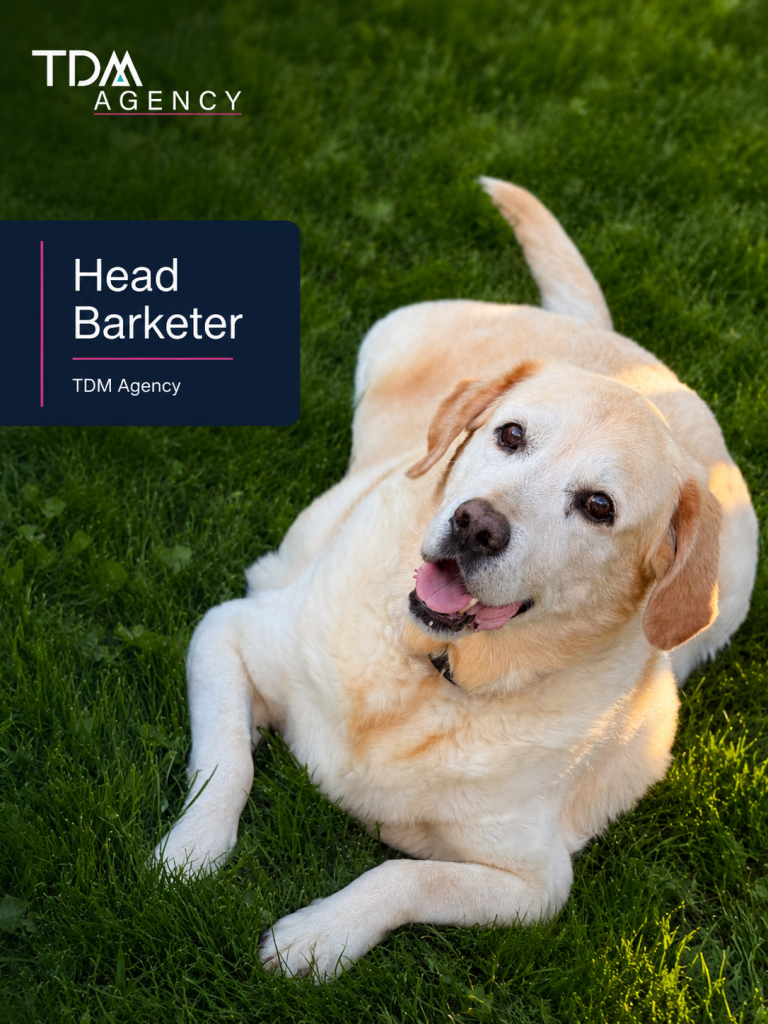 Marketing-Agency-for-Vets-Kitchener-Waterloo